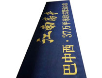 門(mén)廳 廊道 定制廣告地墊 定制型圖案地墊 LOGO地墊 除塵 吸水 防滑地墊